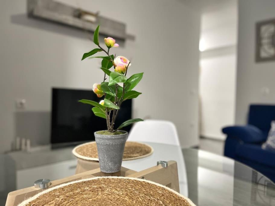Apartamentos Rincon Andaluz 3 Cordoba Luaran gambar